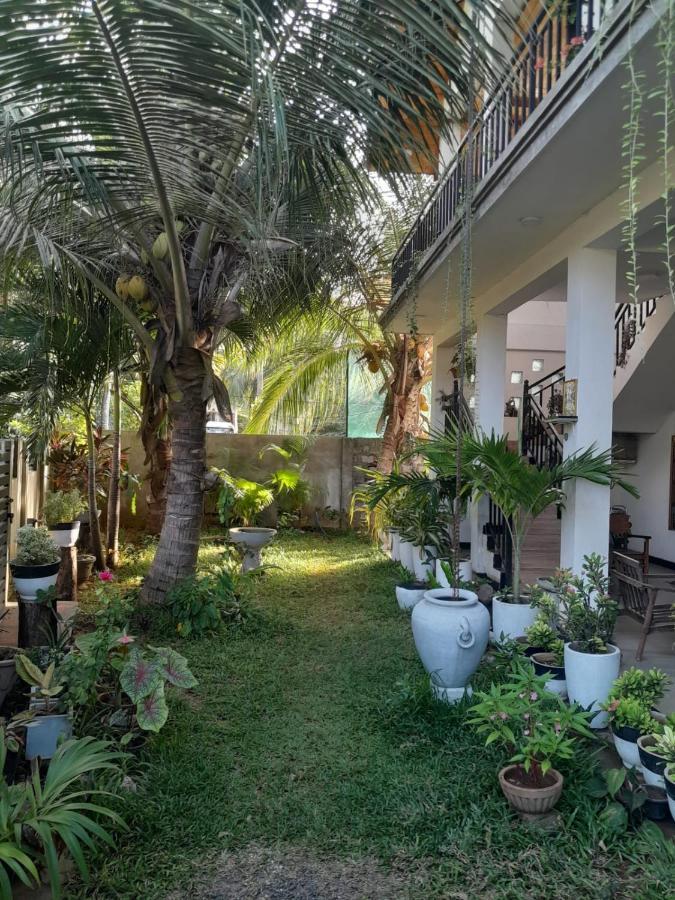 Rose Fort Homestay جافنا المظهر الخارجي الصورة